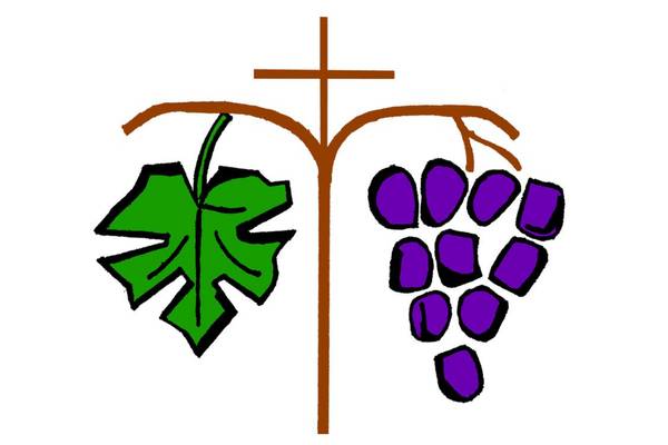 Ein Weinstock aus dem ein Kreuz hervorgeht